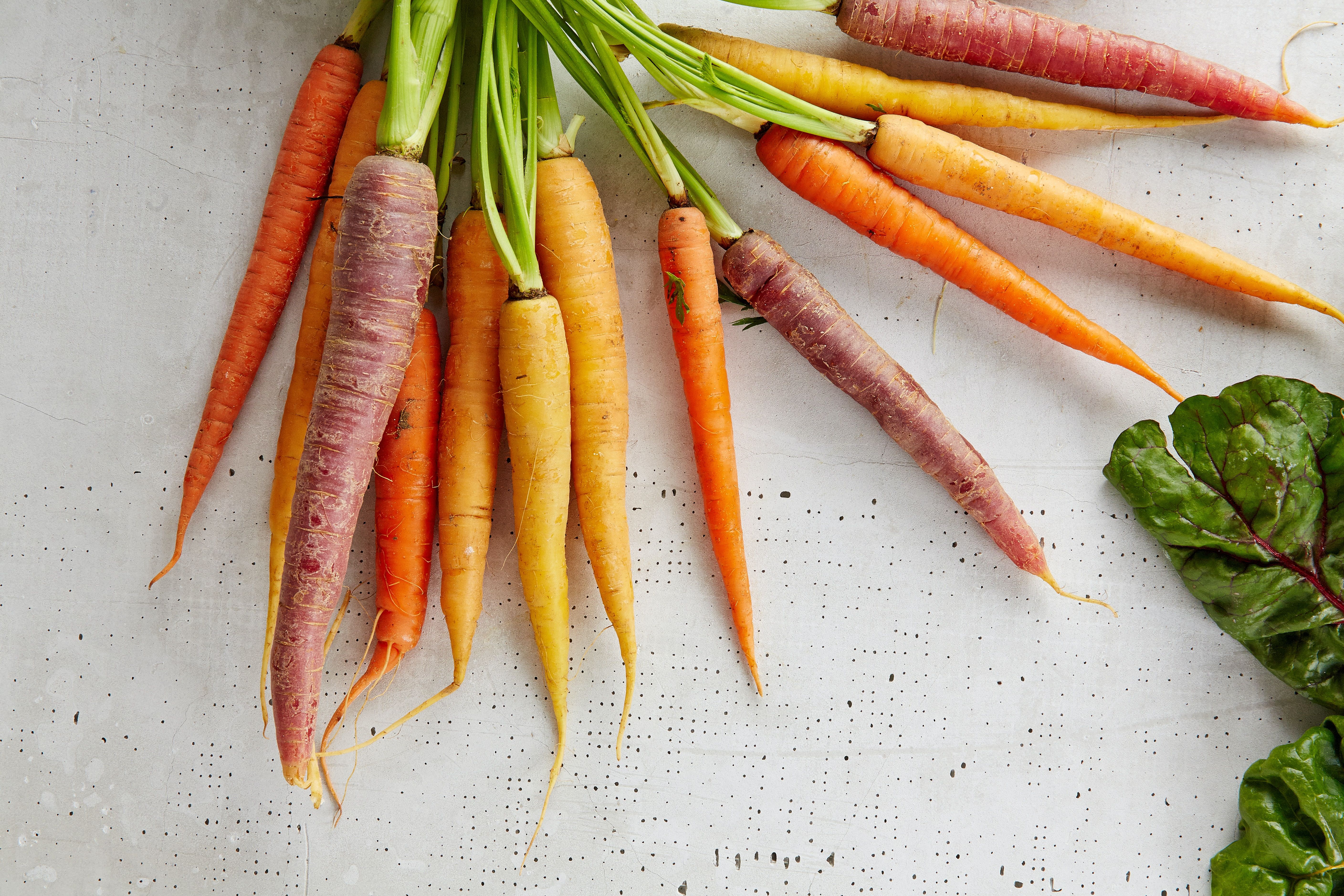 Carrots Wholesale